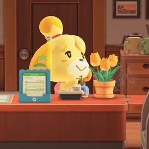 Meet your Posher, Kristina